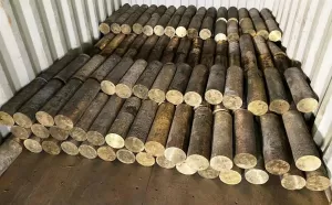 Manufacturer of Brass Billets